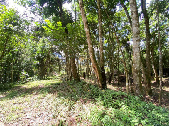 Imagem Terreno à Venda, 4.000 m² em Parque Do Imbui - Teresópolis Imagem Terreno à Venda, 4.000 m² em Parque Do Imbui - Teresópolis