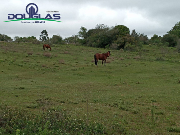 Imagem Chácara à Venda, 5 m² em Viamão Imagem Chácara à Venda, 5 m² em Viamão