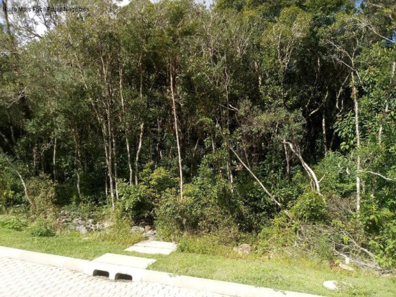 Imagem Terreno à Venda, 369 m² em Linha Imperial - Nova Petrópolis Imagem Terreno à Venda, 369 m² em Linha Imperial - Nova Petrópolis