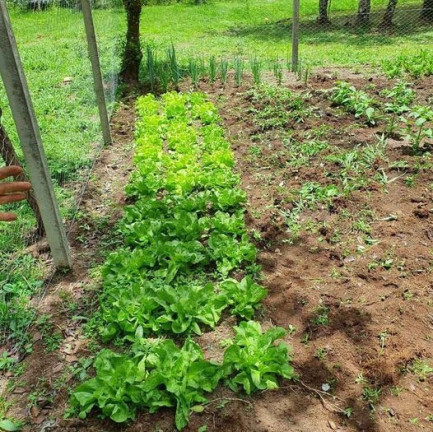Imagem Imóvel com 3 Quartos à Venda, em Tijucas Do Sul - Tijucas Do Sul Imagem Imóvel com 3 Quartos à Venda, em Tijucas Do Sul - Tijucas Do Sul