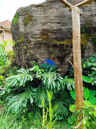 Imagem Casa com 1 Quarto à Venda, 72 m² em Zona Rural - Aiuruoca Imagem Casa com 1 Quarto à Venda, 72 m² em Zona Rural - Aiuruoca