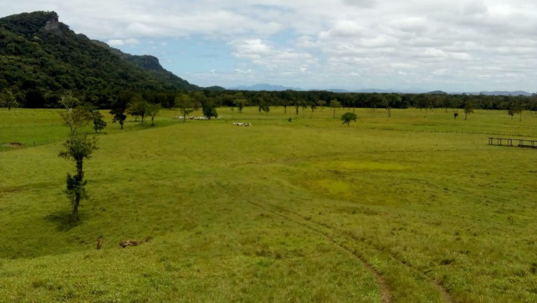 Imagem Fazenda à Venda, 90 m² em Braço Grande - Miracatu Imagem Fazenda à Venda, 90 m² em Braço Grande - Miracatu