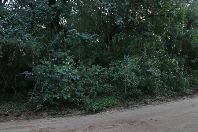 Imagem Terreno à Venda, 1.350 m² em águas Claras - Viamão