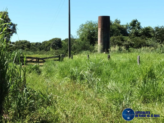 Imagem Fazenda à Venda, 200 m² em Zona Rural - Uirapuru Imagem Fazenda à Venda, 200 m² em Zona Rural - Uirapuru