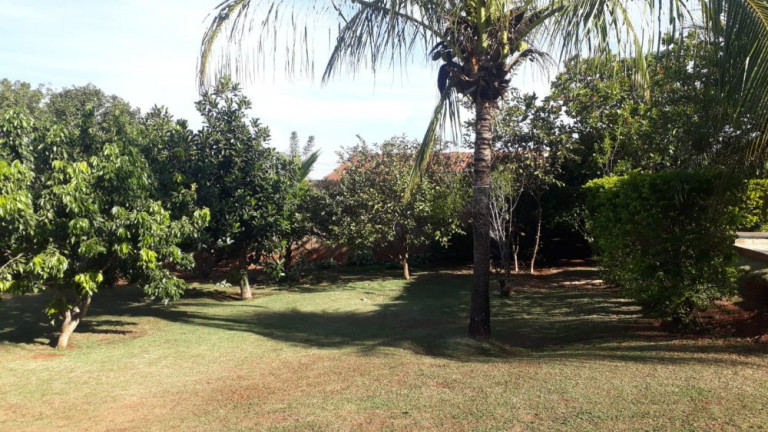 Imagem Imóvel com 2 Quartos à Venda, 700 m² em Quinta Da Bela Olinda - Bauru Imagem Imóvel com 2 Quartos à Venda, 700 m² em Quinta Da Bela Olinda - Bauru
