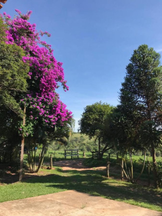 Imagem Fazenda à Venda, 60 m² em Rural - Avaré