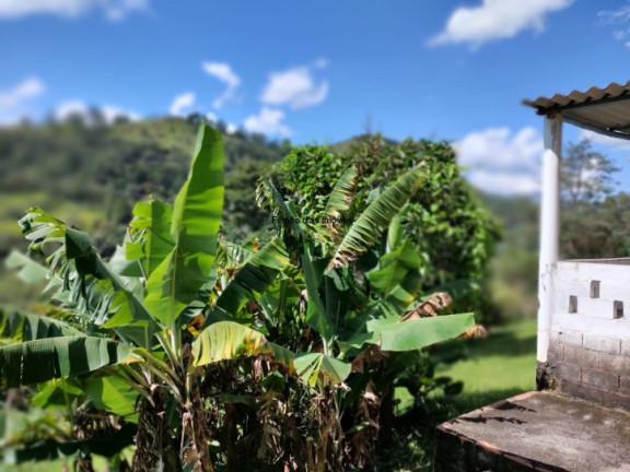 Imagem Chácara com 2 Quartos à Venda, 1.600 m² em Terra Preta (terra Preta) - Mairiporã Imagem Chácara com 2 Quartos à Venda, 1.600 m² em Terra Preta (terra Preta) - Mairiporã