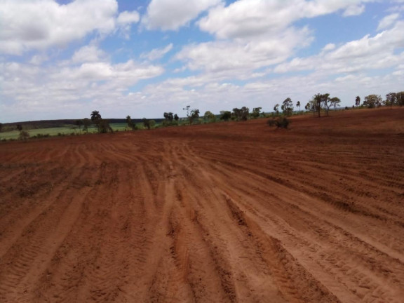 Imagem Fazenda à Venda, 32 m² em Rural - Bauru Imagem Fazenda à Venda, 32 m² em Rural - Bauru