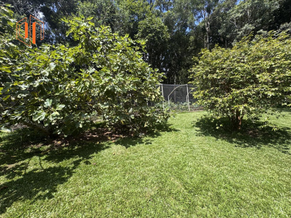 Imagem Imóvel com 2 Quartos à Venda, 6.000 m² em Loteamento Chácara Chantecler - Piraquara Imagem Imóvel com 2 Quartos à Venda, 6.000 m² em Loteamento Chácara Chantecler - Piraquara