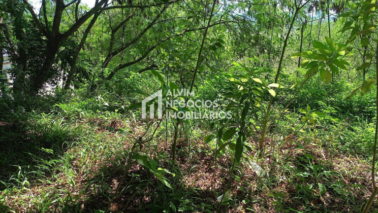 Imagem Terreno à Venda, 685 m² em Jardim Nova América - São José Dos Campos Imagem Terreno à Venda, 685 m² em Jardim Nova América - São José Dos Campos