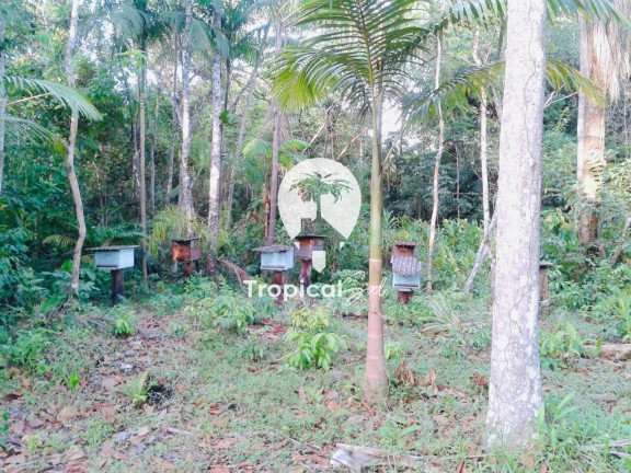 Imagem Terreno à Venda, 320 m² em Guaraguacú - Pontal Do Parana Imagem Terreno à Venda, 320 m² em Guaraguacú - Pontal Do Parana