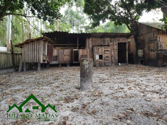 Imagem Chácara com 3 Quartos à Venda, 108 m² em Pinheiros - Balneário Barra Do Sul Imagem Chácara com 3 Quartos à Venda, 108 m² em Pinheiros - Balneário Barra Do Sul