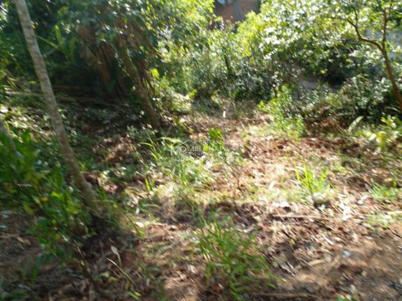 Imagem Imóvel à Venda,  em Zantão - Brusque