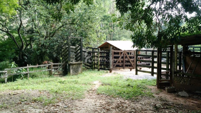 Imagem Fazenda à Venda, 500 m² em Pernambucana - Paraibuna Imagem Fazenda à Venda, 500 m² em Pernambucana - Paraibuna