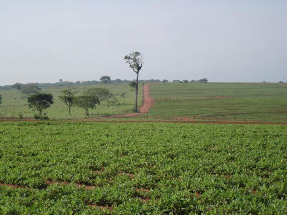 Imagem Fazenda à Venda, 351 m² em Rural - Rancharia Imagem Fazenda à Venda, 351 m² em Rural - Rancharia