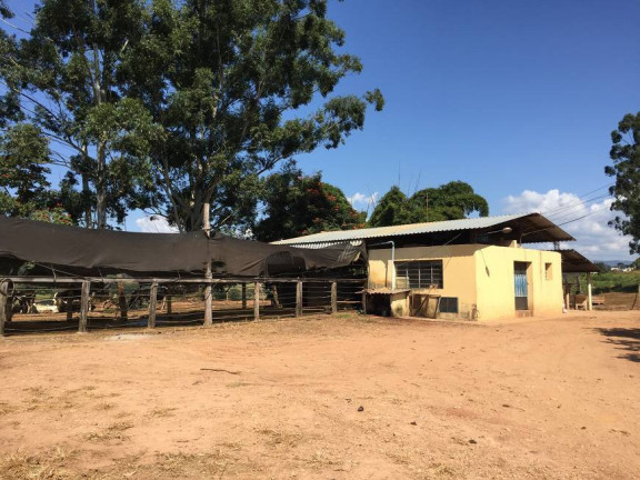Imagem Fazenda à Venda, 118 m² em Mg - Cambuquira Imagem Fazenda à Venda, 118 m² em Mg - Cambuquira