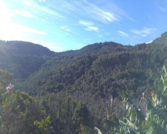 Imagem Imóvel com 3 Quartos à Venda, 65 m² em Fazenda Pirajá - Nova Petrópolis Imagem Imóvel com 3 Quartos à Venda, 65 m² em Fazenda Pirajá - Nova Petrópolis