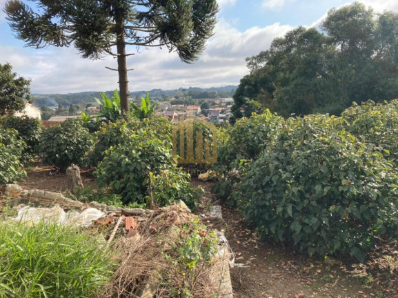 Imagem Terreno à Venda, 2.080 m² em Vila Santa Terezinha - Loteamento Vila Santo Onofre - Campo Largo