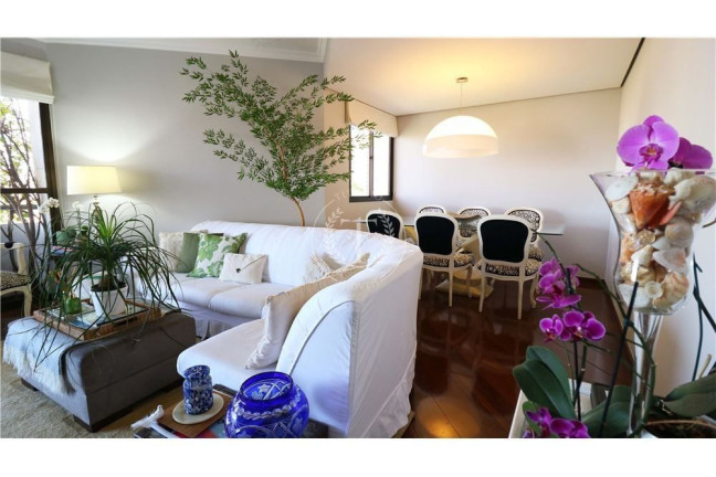 Imagem Apartamento com 5 Quartos à Venda, 170 m² em Vila Suzana - São Paulo Imagem Apartamento com 5 Quartos à Venda, 170 m² em Vila Suzana - São Paulo