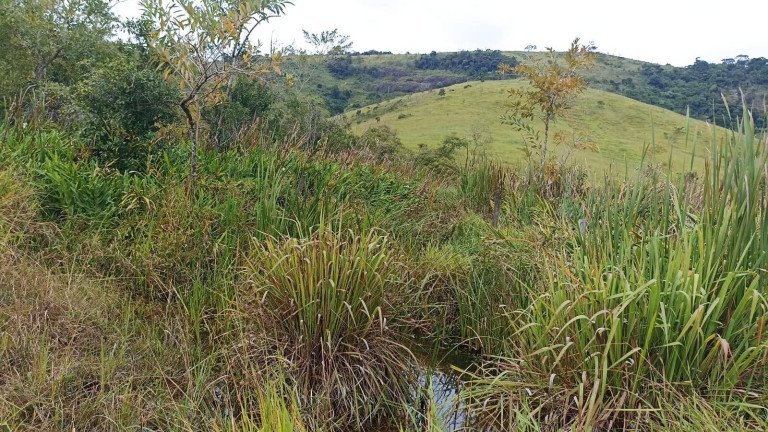 Imagem Fazenda à Venda, 200 m² em Lajeado - Paraibuna Imagem Fazenda à Venda, 200 m² em Lajeado - Paraibuna