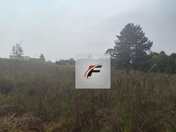 Imagem Terreno à Venda, 37.000 m² em Pinheirinho - Curitiba Imagem Terreno à Venda, 37.000 m² em Pinheirinho - Curitiba