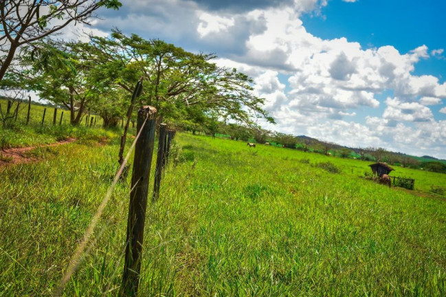 Imagem Fazenda à Venda, 2.000 m² em Zona Rural - Conquista Imagem Fazenda à Venda, 2.000 m² em Zona Rural - Conquista