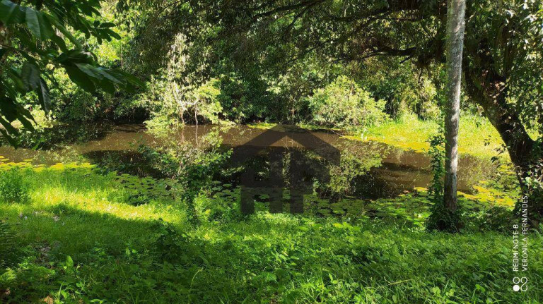 Imagem Chácara com 6 Quartos à Venda, 65.000 m² em Aldeia - Camaragibe Imagem Chácara com 6 Quartos à Venda, 65.000 m² em Aldeia - Camaragibe