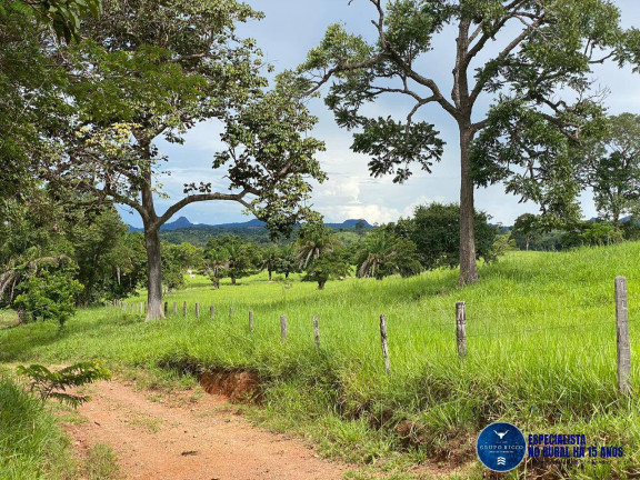 Imagem Fazenda à Venda, 214 m² em Zona Rural - Israelândia Imagem Fazenda à Venda, 214 m² em Zona Rural - Israelândia