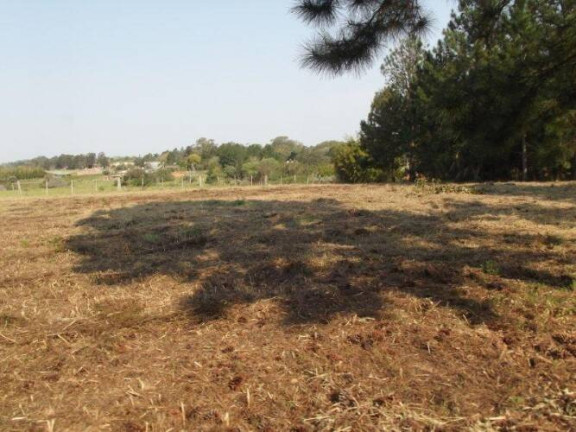 Imagem Terreno à Venda, 80.000 m² em águas Claras - Viamão