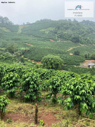 Imagem Fazenda à Venda, 35 m² em Manhumirim