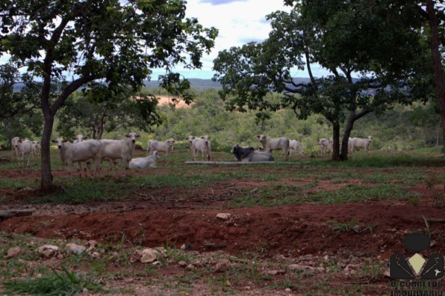 Imagem Imóvel à Venda, 20.000 m² em Fazendinhas Guará - Jequitibá Imagem Imóvel à Venda, 20.000 m² em Fazendinhas Guará - Jequitibá