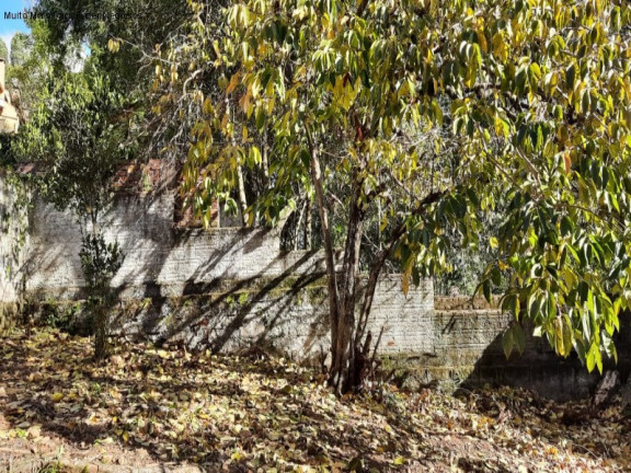 Imagem Casa com 3 Quartos à Venda, 169 m² em Piá - Nova Petrópolis Imagem Casa com 3 Quartos à Venda, 169 m² em Piá - Nova Petrópolis