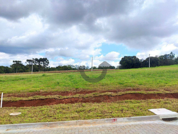 Imagem Terreno à Venda, 300 m² em Linha Santa Cruz - Santa Cruz Do Sul Imagem Terreno à Venda, 300 m² em Linha Santa Cruz - Santa Cruz Do Sul