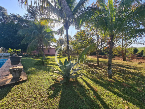 Imagem Chácara com 4 Quartos à Venda, 400 m² em área Rural De Mogi Mirim - Moji Mirim Imagem Chácara com 4 Quartos à Venda, 400 m² em área Rural De Mogi Mirim - Moji Mirim