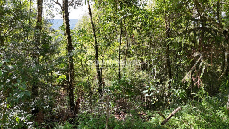 Imagem Terreno à Venda, 1.275 m² em Região Do Parque Pedra Do Baú - Campos Do Jordão Imagem Terreno à Venda, 1.275 m² em Região Do Parque Pedra Do Baú - Campos Do Jordão