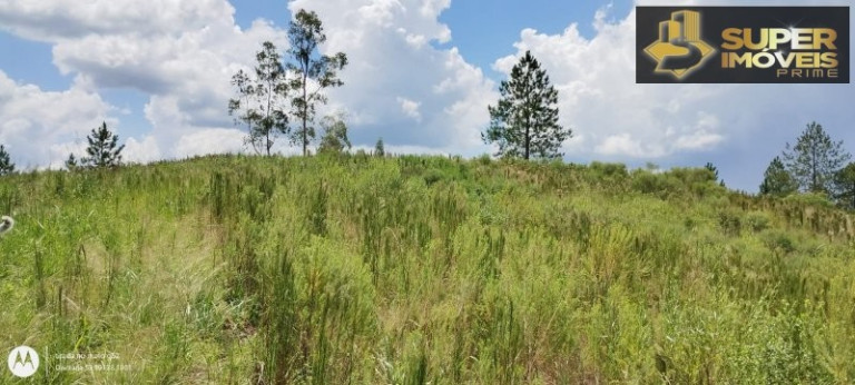 Imagem Imóvel com 4 Quartos à Venda, 150.000 m² em Zona Rural - Morro Redondo Imagem Imóvel com 4 Quartos à Venda, 150.000 m² em Zona Rural - Morro Redondo