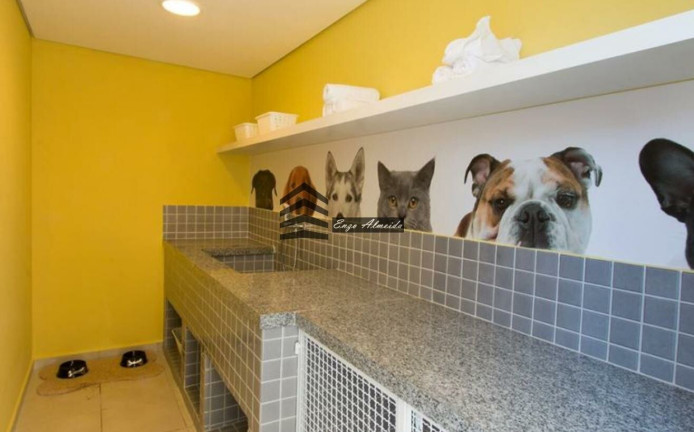Imagem Apartamento com 1 Quarto à Venda, 42 m² em Saúde - São Paulo Imagem Apartamento com 1 Quarto à Venda, 42 m² em Saúde - São Paulo