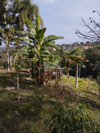 Imagem Chácara com 3 Quartos à Venda, 6 m² em Pilar Do Sul Imagem Chácara com 3 Quartos à Venda, 6 m² em Pilar Do Sul