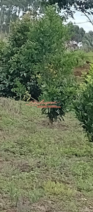 Imagem Terreno à Venda, 20 m² Imagem Terreno à Venda, 20 m²