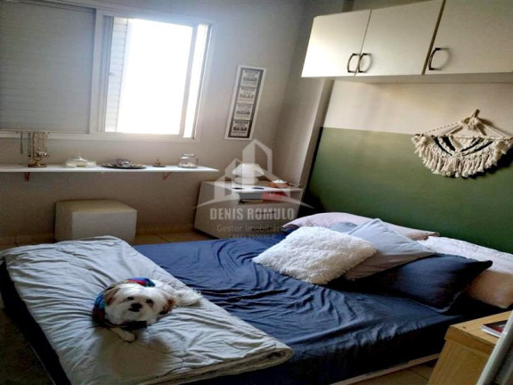 Imagem Apartamento com 3 Quartos à Venda, 58 m² em Parque Mandaqui - São Paulo