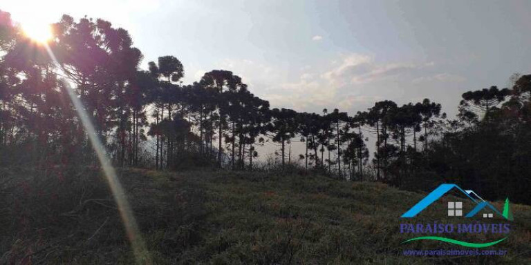 Imagem Terreno à Venda, 72 m² em Centro - Paraisópolis