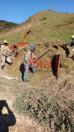 Imagem Chácara com 3 Quartos à Venda, 280 m² em Sn - São Domingos Do Prata