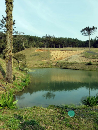 Imagem Imóvel com 1 Quarto à Venda, 72.000 m² em Interior - Bom Retiro Imagem Imóvel com 1 Quarto à Venda, 72.000 m² em Interior - Bom Retiro