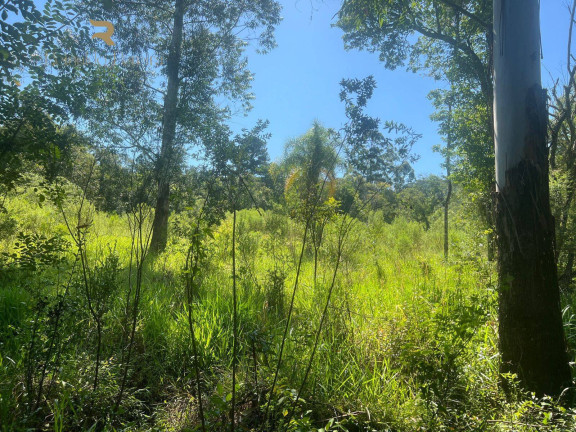 Imagem Chácara com 2 Quartos à Venda, 37.000 m² em Pinheirinho - Capela De Santana Imagem Chácara com 2 Quartos à Venda, 37.000 m² em Pinheirinho - Capela De Santana