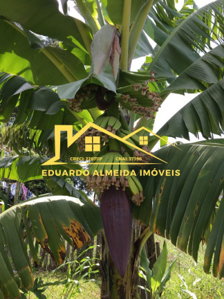 Imagem Imóvel com 2 Quartos à Venda, 2 m² em Centro - Gramadinho