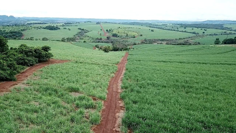 Imagem Fazenda à Venda, 337 m² em Zona Rural - Cristais Paulista Imagem Fazenda à Venda, 337 m² em Zona Rural - Cristais Paulista