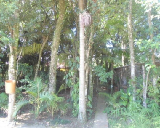 Imagem Casa com 5 Quartos à Venda, 385 m² em Piá - Nova Petrópolis Imagem Casa com 5 Quartos à Venda, 385 m² em Piá - Nova Petrópolis