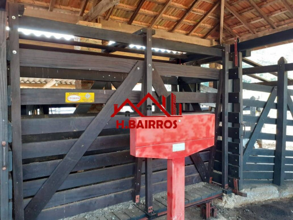 Imagem Fazenda à Venda, 2.541 m² em Centro - Silveiras Imagem Fazenda à Venda, 2.541 m² em Centro - Silveiras