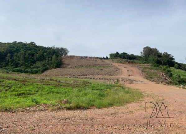 Imagem Terreno à Venda, 330 m² em Nossa Senhora Das Graças - Caxias Do Sul