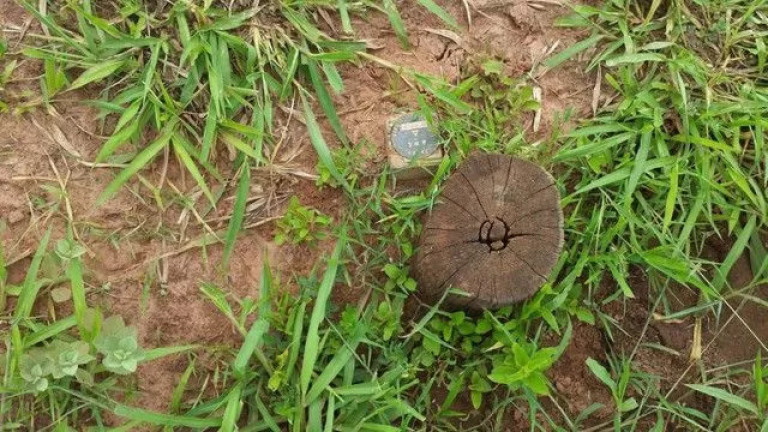 Imagem Fazenda à Venda, 500 m² em Zona Rural - Paranatinga Imagem Fazenda à Venda, 500 m² em Zona Rural - Paranatinga